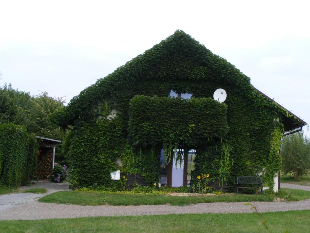 Dworek Lachowicze Grzegorzewice Exterior photo